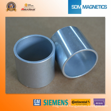 Cylinder ISO/Ts 16949 Certificated Magnet